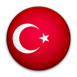 turkish into english translation
